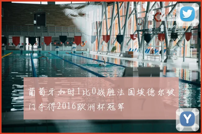 葡萄牙加时1比0战胜法国埃德尔破门夺得2016欧洲杯冠军