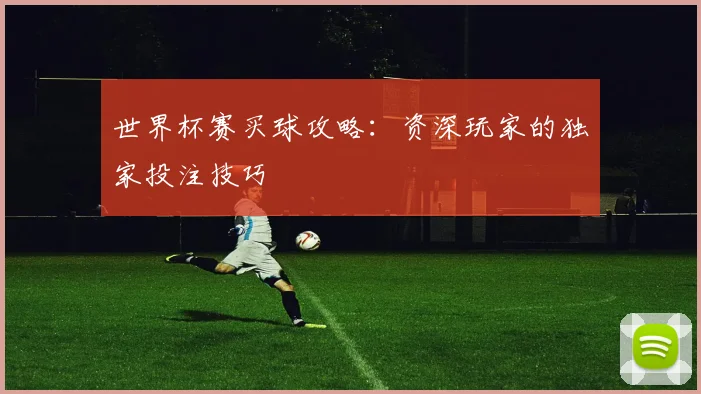世界杯赛买球攻略：资深玩家的独家投注技巧