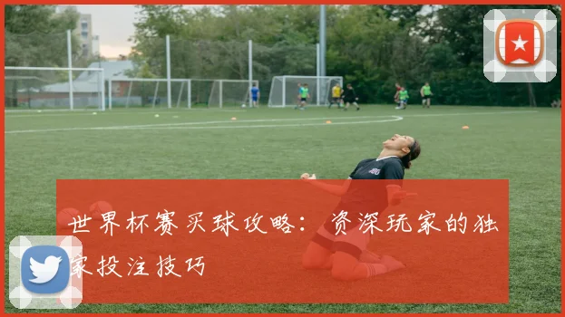世界杯赛买球攻略：资深玩家的独家投注技巧