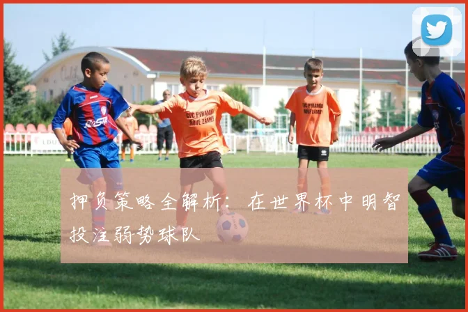 押负策略全解析：在世界杯中明智投注弱势球队