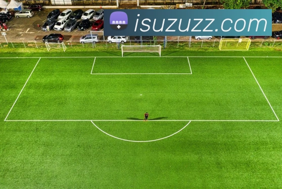 k体育官方下载平台生态图